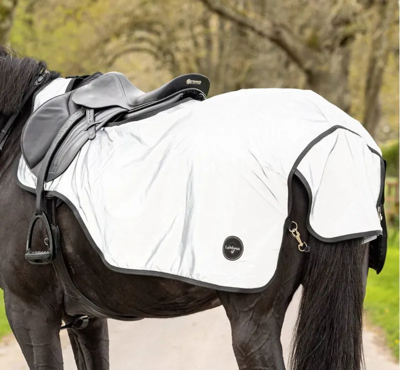 LeMieux Reflective Exercise Sheet